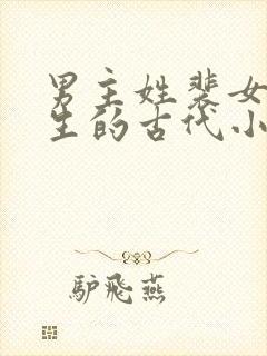 男主姓裴女主重生的古代小说