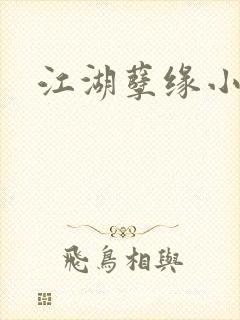 江湖孽缘小说封面