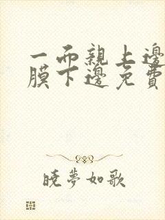 一面亲上边一面膜下边免费阅读