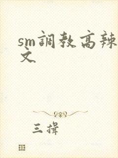 sm调教高辣h文封面