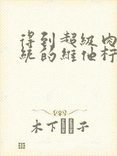 得到超级肉禽系统的维他柠檬茶