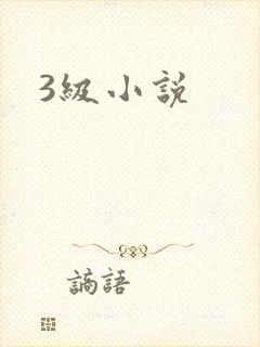 3级小说封面