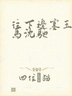 往下边塞玉器骑马沈驰封面