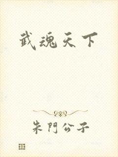 武魂天下