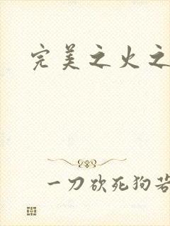 完美之火之灰烬封面