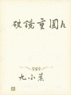 破镜重圆h