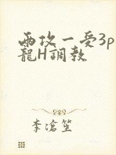 两攻一受3p双龙H调教