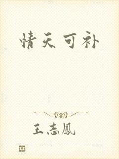 情天可补
