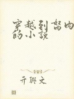 穿越到胬肉系统的小说