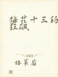 梅花十三的乳液狂飙