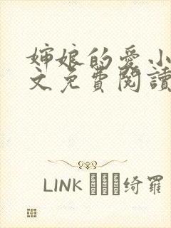 婶娘的爱小说全文免费阅读