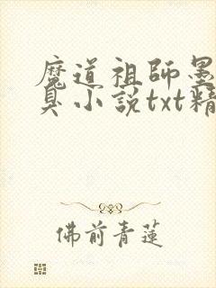 魔道祖师墨香铜臭小说txt精校版