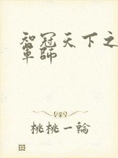 智冠天下之风流军师封面