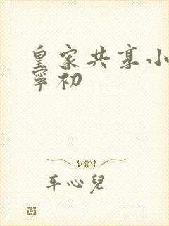 皇家共享小公主宁初