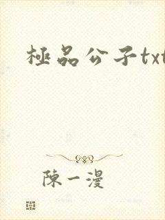 极品公子txt封面