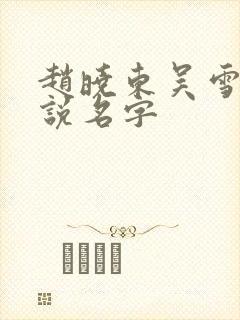 赵晓东吴雪晴小说名字封面