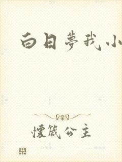 白日梦我小说