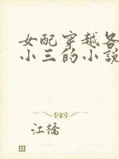 女配穿越各个做小三的小说封面