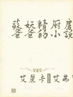 苏妖精厨房爹爹爸爸的小说