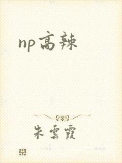 np高辣