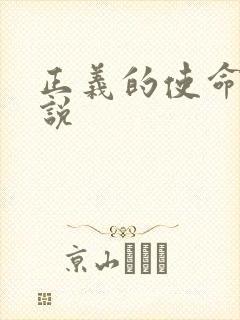 正义的使命 小说