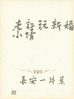 老许玩新婚少妇小倩