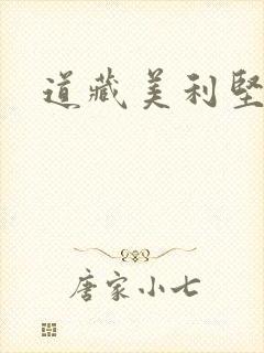 道藏美利坚封面