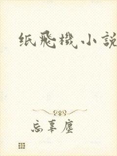 纸飞机小说