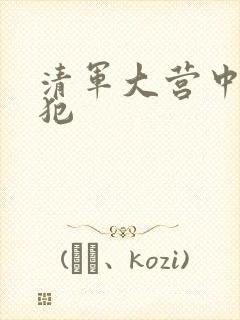 清军大营中的女犯封面