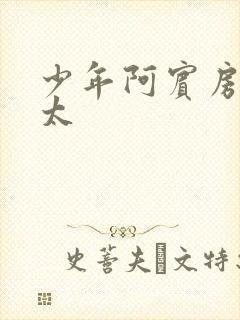 少年阿宾房东太太