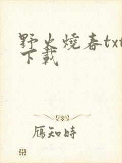 野火烧春txt下载封面