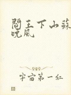 阎王下山苏文陆晚风封面