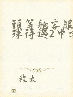 头等舱客服的特殊待遇2中字