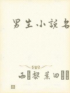 男生小说名字