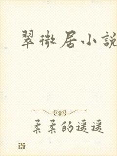 翠微居小说