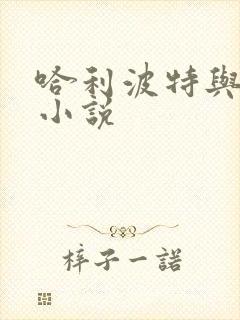 哈利波特与密室小说