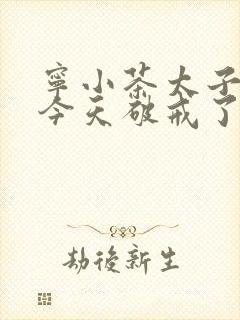 宁小茶太子殿下今天破戒了吗免费阅读封面
