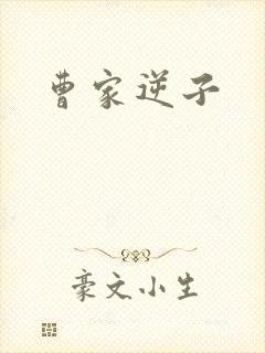 曹家逆子封面