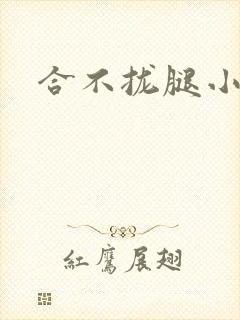 合不拢腿小说