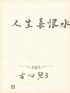 人生长恨水长东