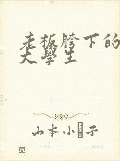 老板胯下的秘书大学生