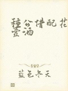 种公借配花间一壶酒