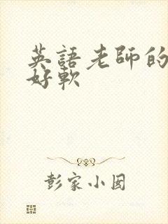 英语老师的兔子好软