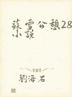 苏雪公憩28篇小说封面