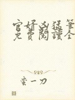 官婿凶猛笔趣阁免费阅读全文封面