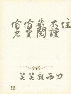 偷偷藏不住小说免费阅读