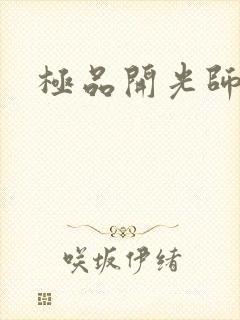 极品开光师