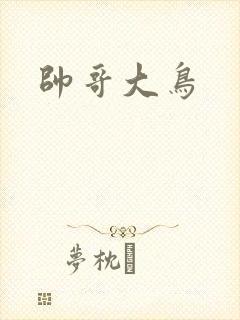 帅哥大鸟
