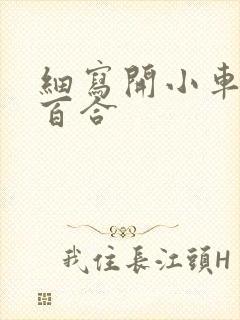 细写开小车车的百合