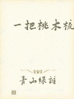 一把桃木梳封面